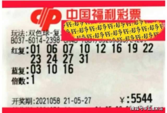 揭秘新澳204今晚开奖，理性看待彩票与娱乐