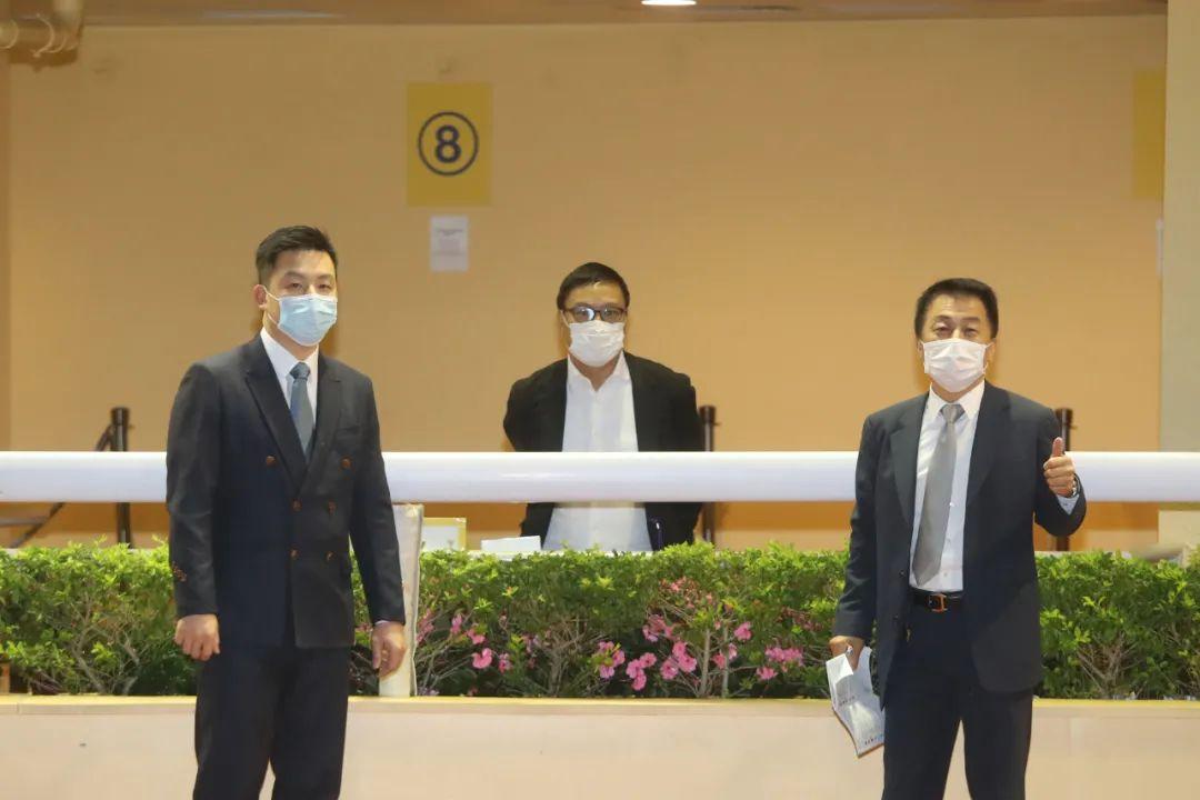 探索香港马会全年资料大全，历史、赛事与慈善的辉煌篇章