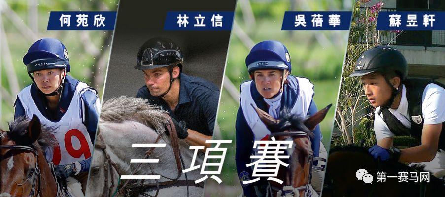 探索正版马会精选资料大全，解锁赛马的智慧与激情