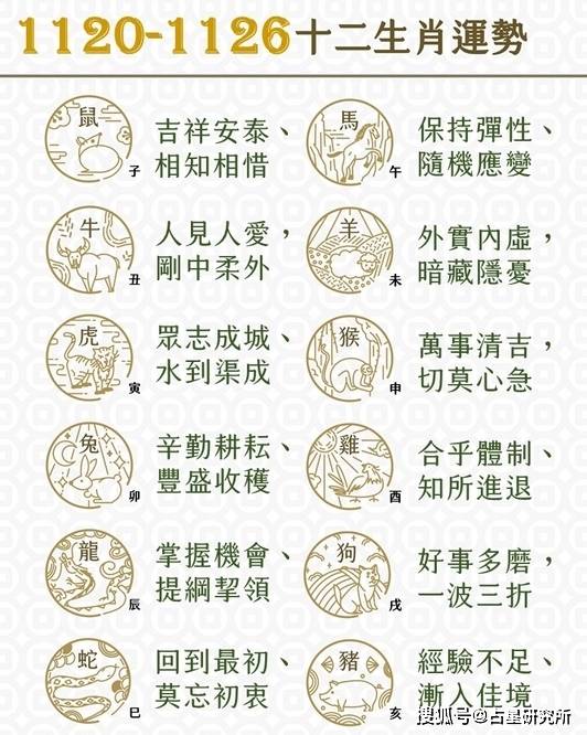 今晚一肖中特，揭秘生肖预测的奥秘与理性思考