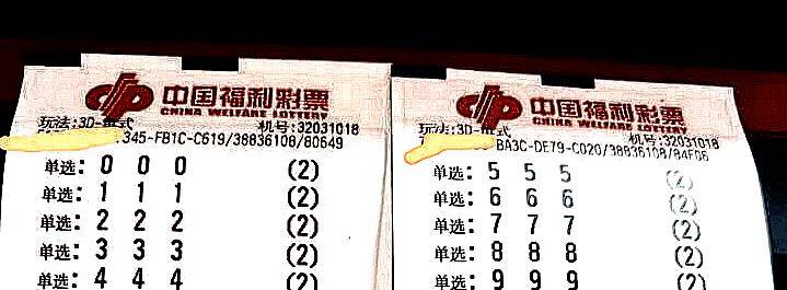 澳门内部三肖精准预测，理性与智慧的结合