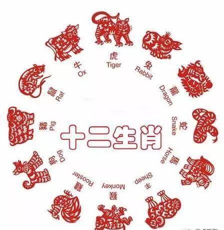 今晚一肖中特，揭秘生肖与运势的神秘面纱