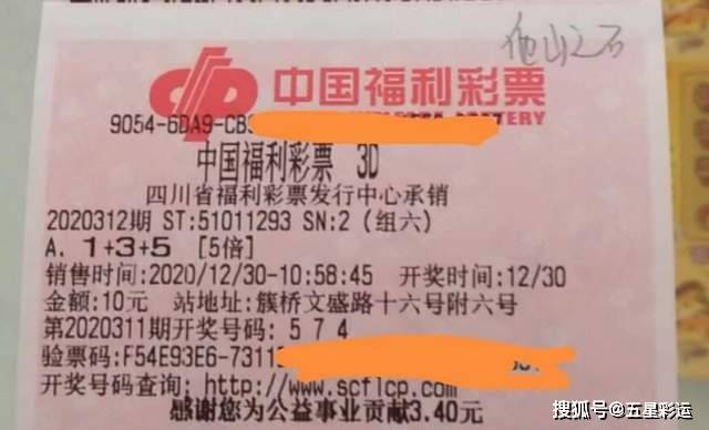 2046新澳门天天开好彩大全正版，揭秘彩票背后的真相与理性态度