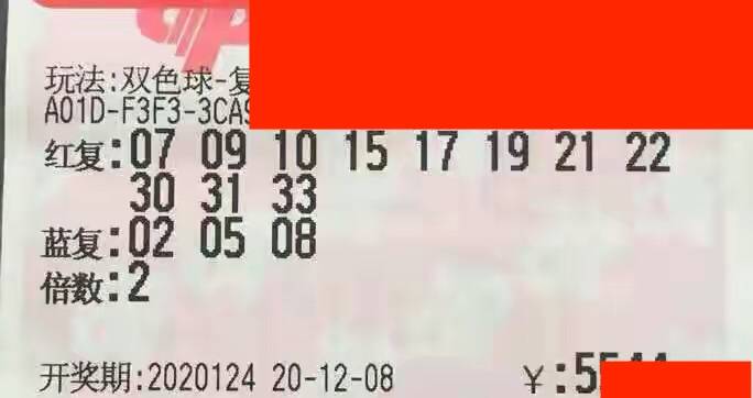 澳门天天开彩46期，揭秘20年来的数字奥秘与未来展望