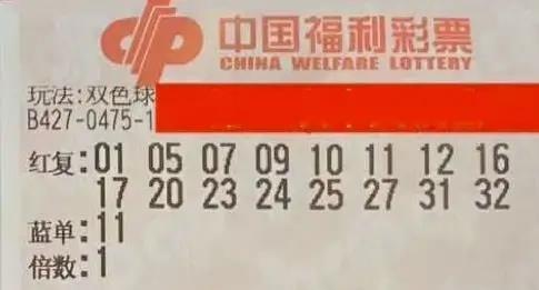 探索中彩网双色球电脑版首页，数字与梦想的交汇点