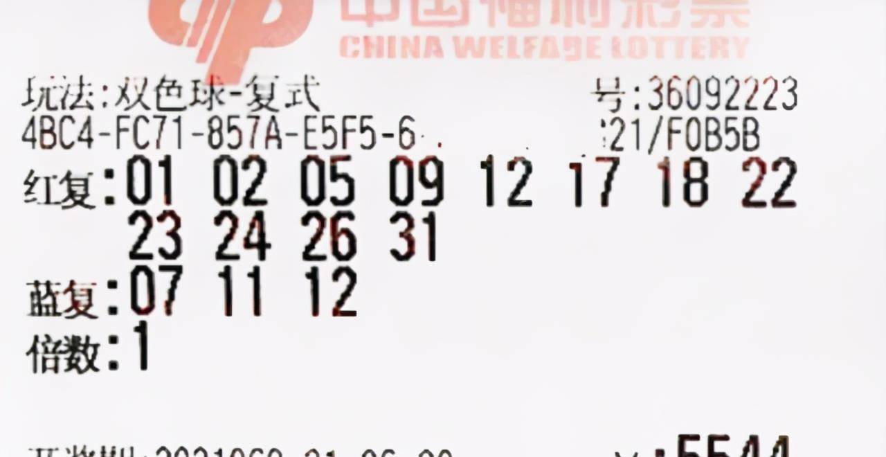 2025年5月 第41页
