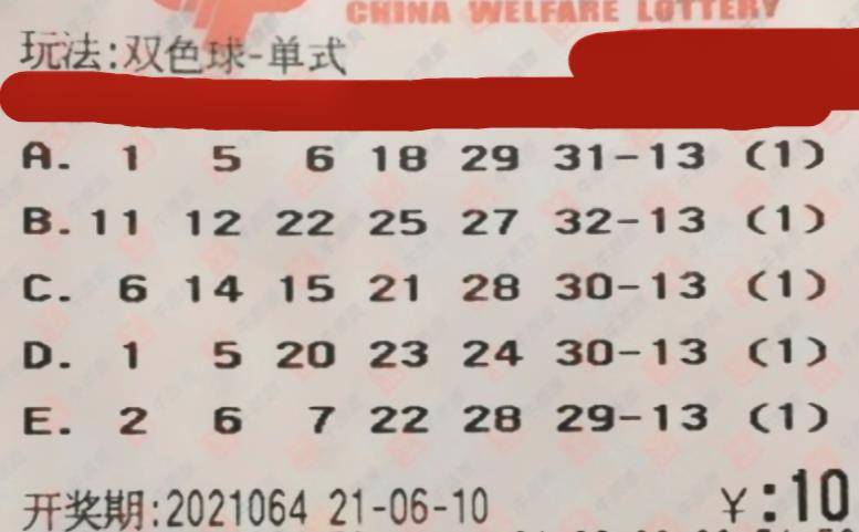 探索双色球第49期，揭秘开奖号码背后的奥秘与彩民心声