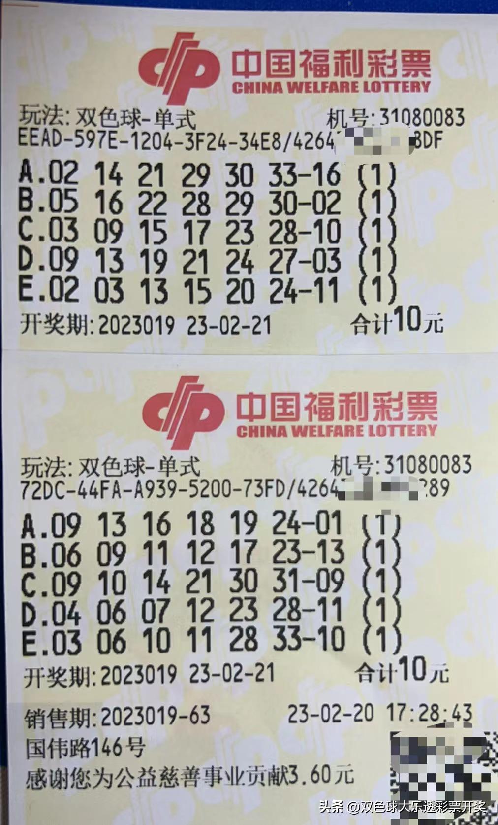 23019双色球机选号码，理性与幸运的碰撞