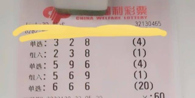 2019年3D小龙一句定三码，揭秘数字彩票的神秘面纱