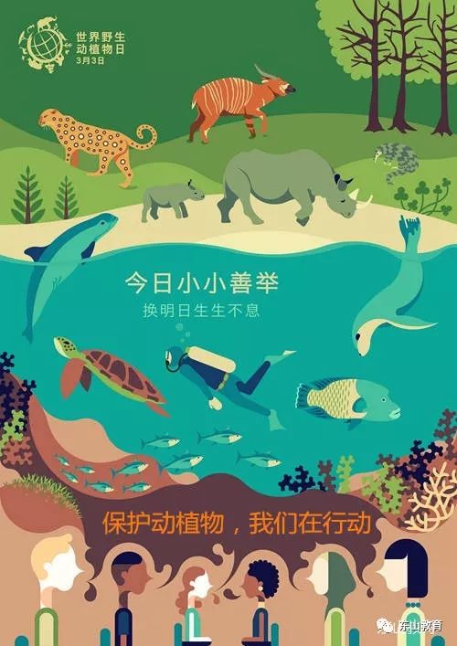 探索和谐共生，世界动物日的意义与由来