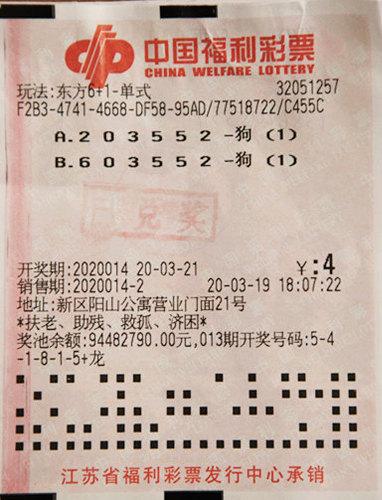 2019年双色球第3期，揭秘梦想与幸运的碰撞—从开奖查询看彩民心路