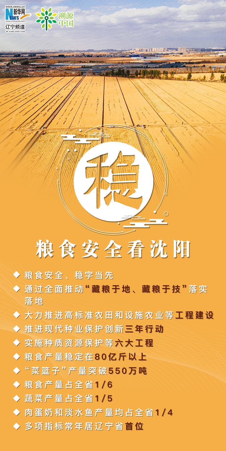 3D福粮库图谱，沈阳的数字农业新篇章