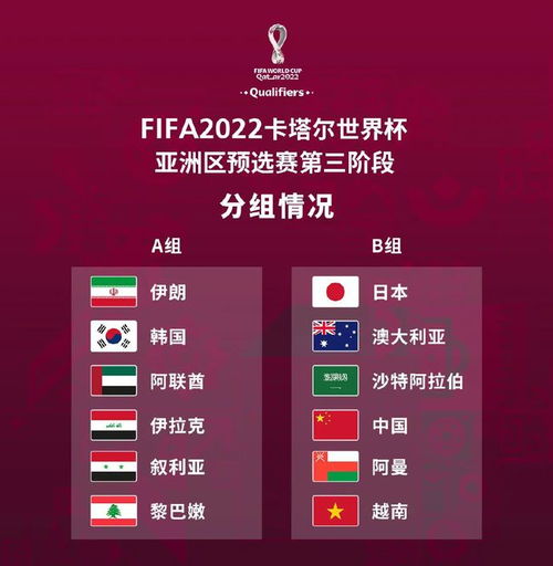 世界杯中国队积分榜，梦想与现实的交织