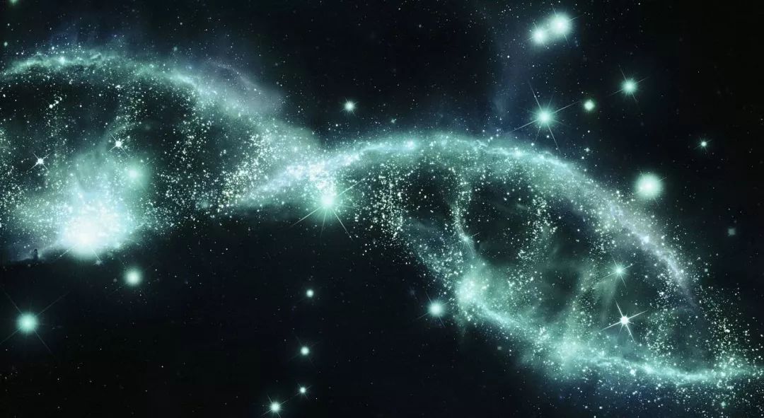 玄机，探寻生命与宇宙的深层奥秘